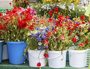 Prints of Poppies and wild flowers for sale at the flower market outside Riga Central Market, Riga, Latvia Latvia Prints: Riga Central Market Print: Poppies and Wild Flowers for Sale