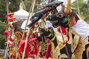 Cremation In Bali Prints: Preparing for a corpse cremation