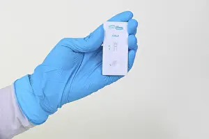 Sexually Transmitted Disease Test Prints: Quick test Chlamydia from ProLine