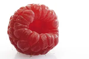Close Up Raspberry Prints: Raspberry