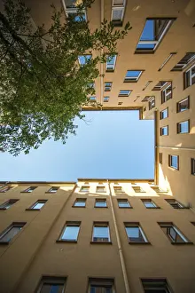 Low Angle View Architecture Prints: Rectangular backyard, surrounded by yellow walls