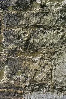 Prints of Sandstone masonry units, format-filling, Oxford, Oxfordshire, England, Great Britain Oxford Prints: Sandstone Masonry Units, Oxford Print