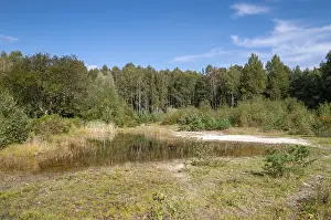 Thuringia Water Bodies Prints: Am Schwertstein, Greiz, Muna, Thuringia