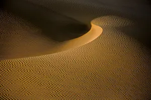 Wavy Sand Structures Prints: Shapes, structures and patterns