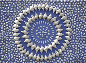 Framed Print : Shell Circle Print Framed Print : Shell Circle Print