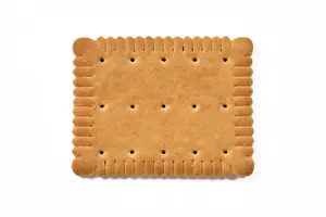 Studio Shot Dessert Prints: Single rectangular biscuit isolated on white background