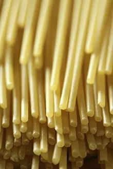Close Up Pasta Shot Prints: Spaghetti macro image at studio with selective focus