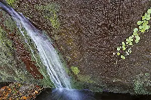 Madeira Waterfall Prints: A spring at the Levada to the Risco waterfall
