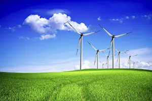Ecological Awareness Prints: Spring wind