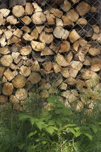 Stack Of Wood Prints: Stack of firewood as background