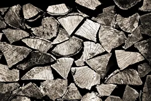Deserted Wood Stack Prints: Stack of wood