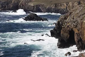Prints of Steep coast, Clogher Head, Dunquin, Dingle Peninsula, County Kerry, Ireland, British Isles, Europe County Tyrone Prints: Steep Coast Print, Clogher Head, Dunquin, Ireland