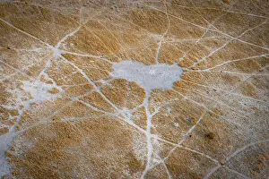 Maun Prints: Okavango Delta Trails Aerial Print, Botswana