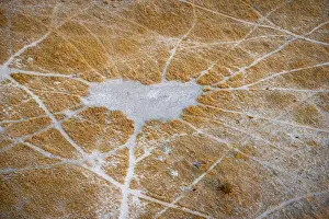 Maun Prints: Okavango Delta Trails Aerial Print