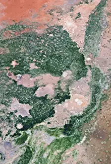 Icelandic Geothermic Energy Prints: Detail of structures formed by algae