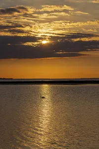 Bird Photography In Germany Prints: Sun behind clouds, sunset, reflection