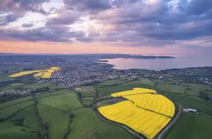 British Countryside Landscape Photo Prints: Sunset over Devon Fields and Farmlands from a drone