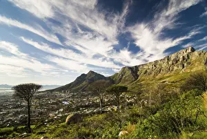 Table Mountain View Prints: Table Mountain and Devil's Peak