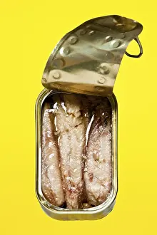 Prints of Tin of sardines Pilchard Prints: Tin of Sardines Print