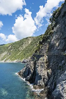 Cinque Terre Italy Prints: Track along cliffs, Via dell Amore
