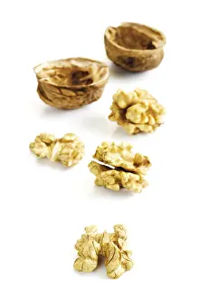 Walnut Photography Prints: Walnuts and shells