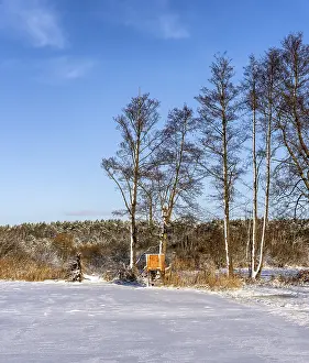 German Countryside Winter Scene Prints: Winter landscape, fields and fields in Berlin Lubars