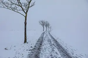 European Winter Landscapes Prints: Wintry landscape at diffuse light in Germany
