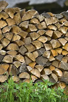 Prints of Woodpile, Tallinn, Estonia, Baltic States, Northeastern Europe Estonia Prints: Woodpile Print, Tallinn, Estonia