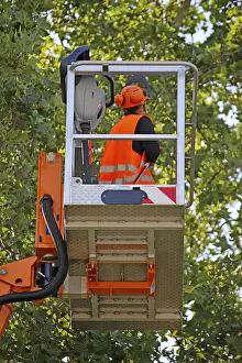 Green Space Management Prints: Workers on the work platform pruning or maintaining trees