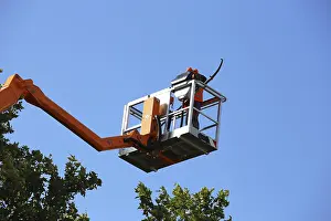 Green Space Management Prints: Workers on the work platform pruning or maintaining trees