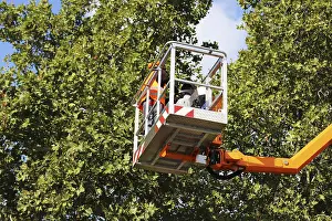 Green Space Management Prints: Workers on the work platform pruning or maintaining trees