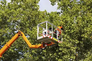 City Park Workers Prints: Workers on the work platform pruning or maintaining trees