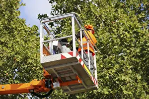 Green Space Management Prints: Workers on the work platform pruning or maintaining trees