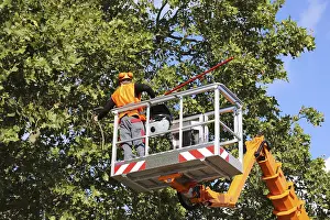 Construction Equipment Use Prints: Workers on the work platform pruning or maintaining trees