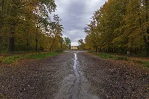 Baroque Garden Germany Prints: Zabeltitz