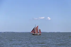 Wustrow Saaler Bodden Prints: Zeesboot Regatta, Wustrow, Saaler Bodden