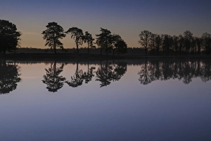 Dutch Winter Landscape Prints: Appelscha