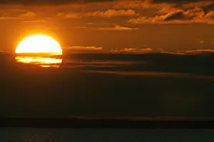 Oderdelta, Oderdelta