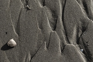 Low Tide North Sea Coast Prints: Sand pattern