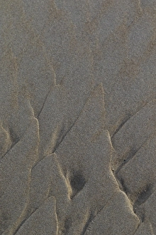 Framed Print : Beach Sand Patterns Print Framed Print : Beach Sand Patterns Print