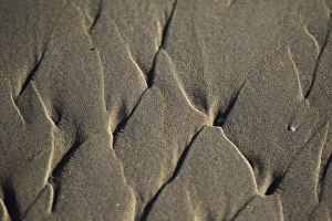 North Sea Sandy Shores Prints: Sand pattern