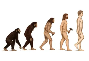 Human Evolution Print: Male Hominid Lineage