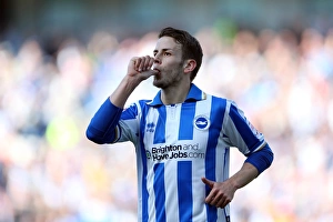 <b class=qtipBold><figcaption>Brighton Blackpool 130420</figcaption></b><br>Andrea Orlandi scores Albions third goal during Brighton & Hove Albion v Blackpool, nPower Championship, Amex Stadium, Brighton, Sat 20th April 2013. Brighton Blackpool 130420