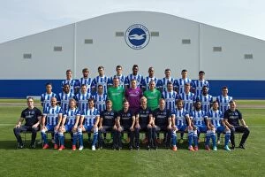 Photocall Collection: Brighton & Hove Albion 2014-15 Team Photo