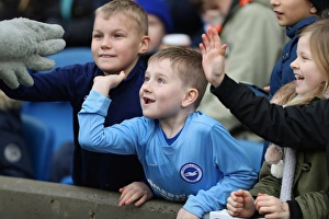 Brighton and Hove Albion v Bournemouth Premier League 01JAN18 Brighton and Hove Albion v Bournemouth Premier League 01JAN18