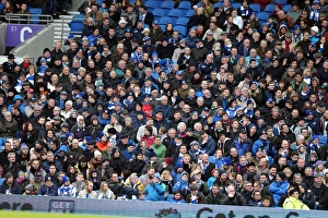 Brighton and Hove Albion v Huddersfield Town Sky Bet Championship 23/01/2016 Brighton and Hove Albion v Huddersfield Town Sky Bet Championship 23/01/2016