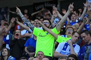 Brighton and Hove Albion v Hull City Sky Bet Championship 07/08/2015 Brighton and Hove Albion v Hull City Sky Bet Championship 07/08/2015