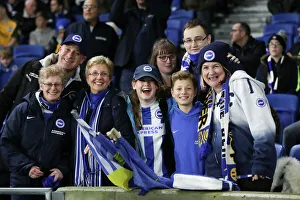 Brighton and Hove Albion v Stoke City Premier League 20NOV17 Brighton and Hove Albion v Stoke City Premier League 20NOV17