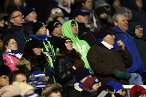 Images Dated 19th January 2013: Brighton & Hove Albion vs. Birmingham City: A Glance at the 2012-13 Away Game (19-01-2013)