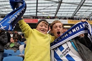 Images Dated 1st February 2001: Crowd Shots at the Amex 2012-13